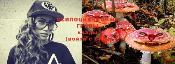 синтетический гашиш Новозыбков