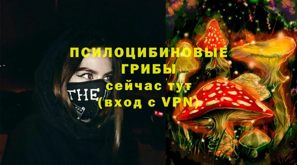 синтетический гашиш Новозыбков